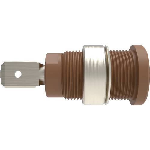 Schützinger DI SEB 7080 Ni / BR Sicherheits-Einbaubuchse gerade Braun 1 St.