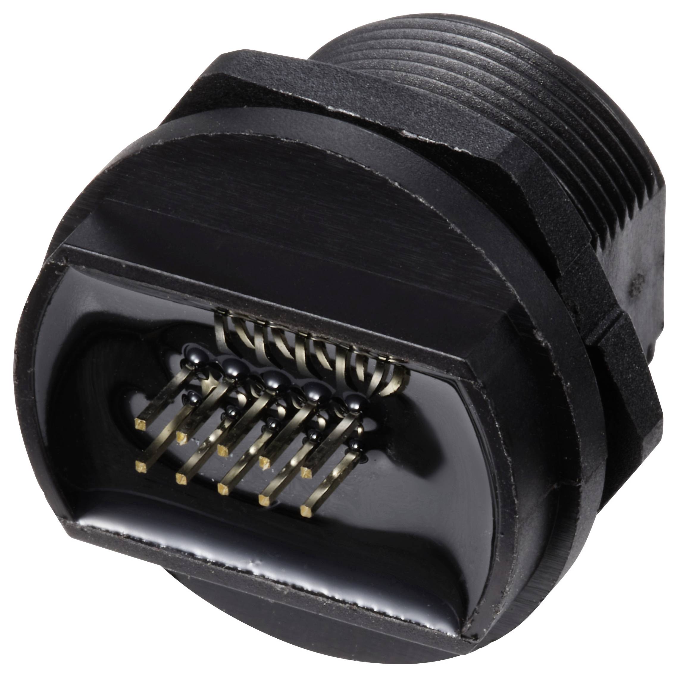 Nahaufnahme eines elektronischen Steckers mit mehreren Pins, die von einer Kunststoffhülle umgeben sind, vor einem weißen Hintergrund.