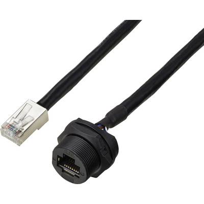 Netzwerkkabel mit RJ45-Stecker auf einer Seite und wassergeschützter Buchse auf der anderen, für industrielle Anwendungen geeignet.