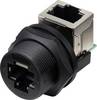 TRU COMPONENTS TC-E13T-FR6-PRF-90 RJ45-Buchse auf Buchse (90°) rückseitig montierte Buchse IP67 (mit Gewinde) TC-13543660 Polzahl Sensoren 8 Schwarz 1 St.