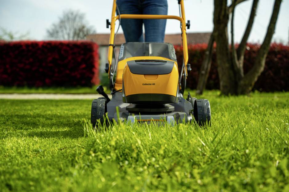 Eine Person mäht das grüne Gras mit einem gelben Rasenmäher im Garten. Im Hintergrund sind Bäume und rote Sträucher zu sehen.