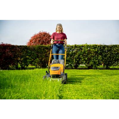 Eine Person mäht mit einem Rasenmäher einen grünen Rasen. Im Hintergrund sind dichte Hecken und ein Baum mit roten Blättern.