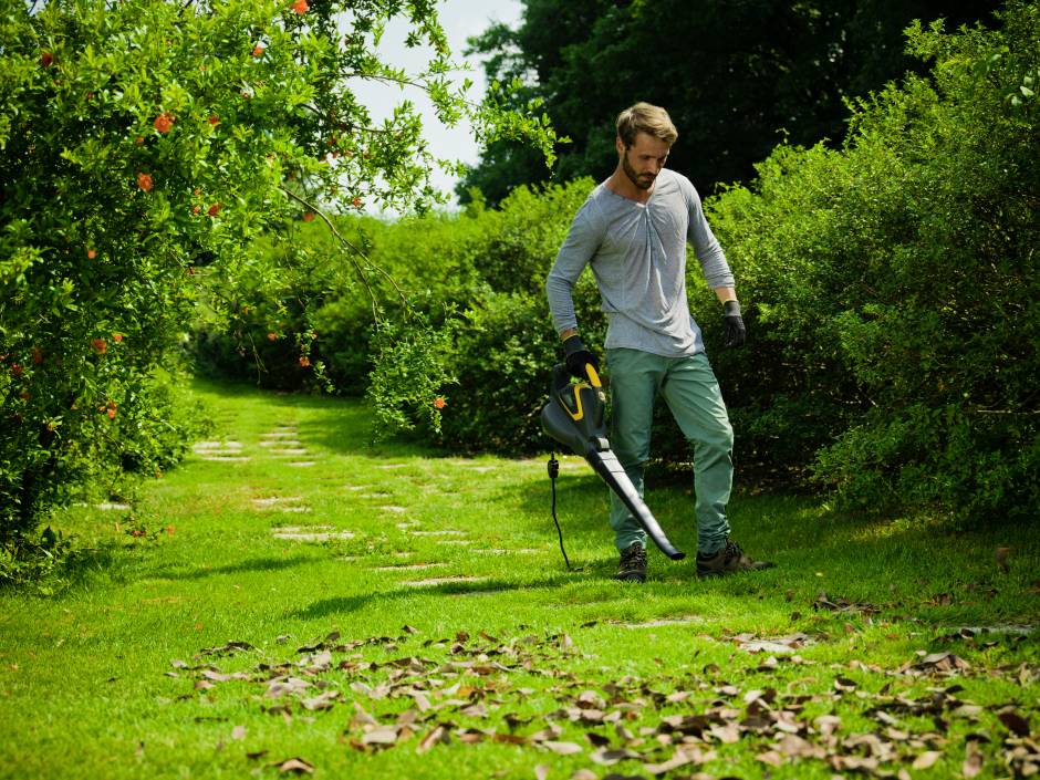 Ein Mann benutzt im sonnigen Garten einen Laubbläser, um herabgefallene Blätter auf einer Rasenfläche zu entfernen.