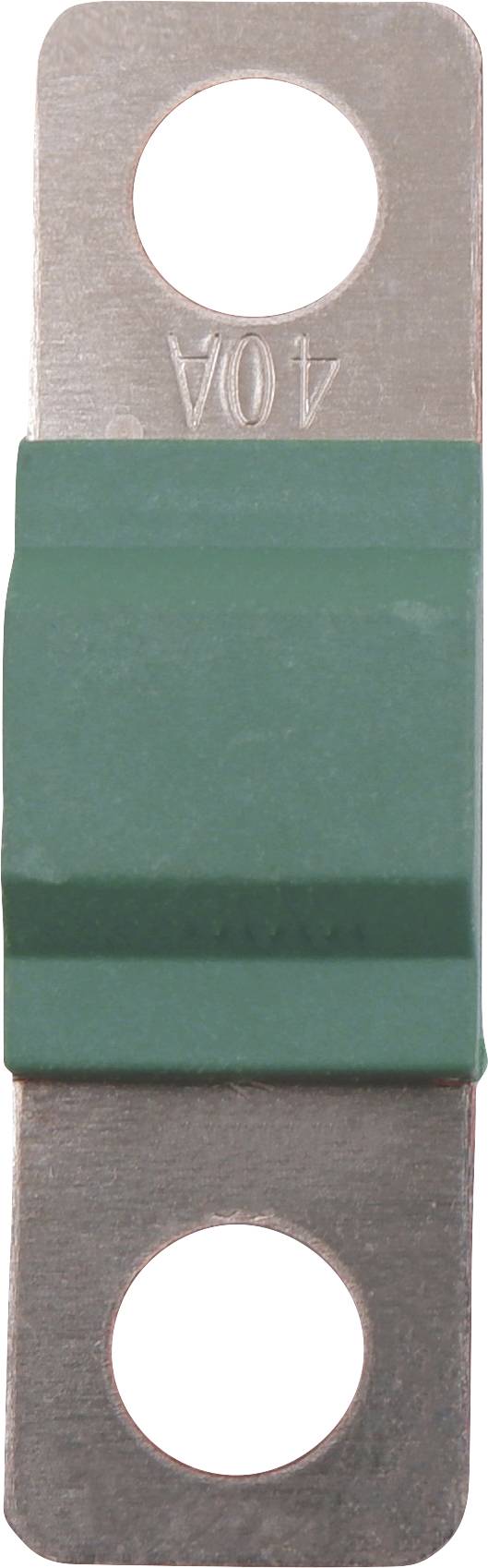 Grüne 40A-Sicherung mit zwei Befestigungslöchern an einem Metallstreifen.