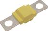 TRU COMPONENTS TC-13545884 Sicherung 60 A 80 V/DC Inhalt 10 St. Bulk