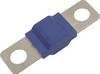 TRU COMPONENTS TC-13545896 Sicherung 100 A 80 V/DC Inhalt 10 St. Bulk