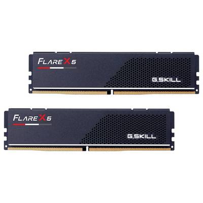 Zwei schwarze G.SKILL Flare X5 RAM-Module, jeweils mit goldfarbenen Anschlüssen. Eines zeigt den Schriftzug 'Flare X5'.