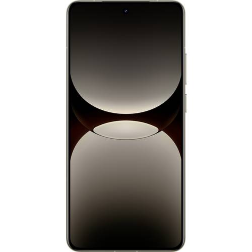 Realme GT 7 Pro 256 GB Grau 17.2 cm (6.78 Zoll) Smartphone