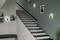 Treppe mit Wandbeleuchtung, Pflanzen und Schwarz-Weiß-Fotografien an der Wand; moderner, einladender Wohnbereich.