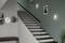 Eine modern beleuchtete Treppe mit schwarzen Stufen und Fotos an der Wand, Pflanzen auf einer Konsole links und eine Stehlampe rechts.