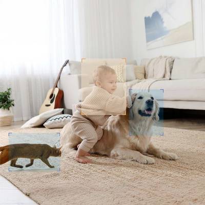 Ein Kleinkind sitzt mit einem Hund auf einem Teppich in einem Wohnzimmer. Im Hintergrund sind ein Sofa, Kissen und eine Gitarre zu sehen.