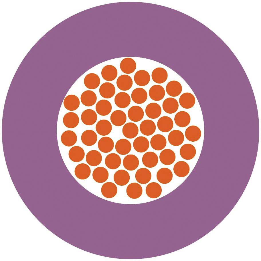 Ein lila Kreis umgibt einen weißen Kreis, der mit mehreren kleinen orangefarbenen Kreisen gefüllt ist.