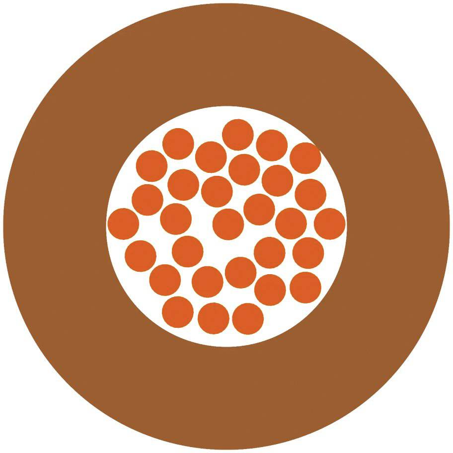 Ein brauner Kreis mit kleineren, gleichmäßig verteilten orangen Punkten in der Mitte.