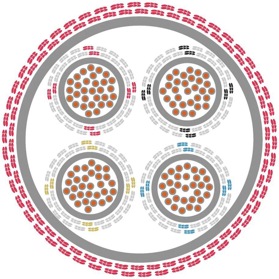 Schema mit vier inneren Kreisen voller orangefarbener Punkte, umgeben von konzentrischen Ringen in verschiedenen Farben: Rot, Schwarz, Blau, Gelb.