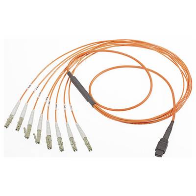 Molex 106283-5003 Verbindungskabel 50/125 µ Multimode Quad 1 St.-0