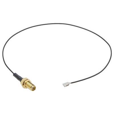 Ein dünnes, schwarzes Antennenkabel mit einem goldfarbenen Stecker auf der linken Seite und einem kleinen Metallanschluss auf der rechten Seite.