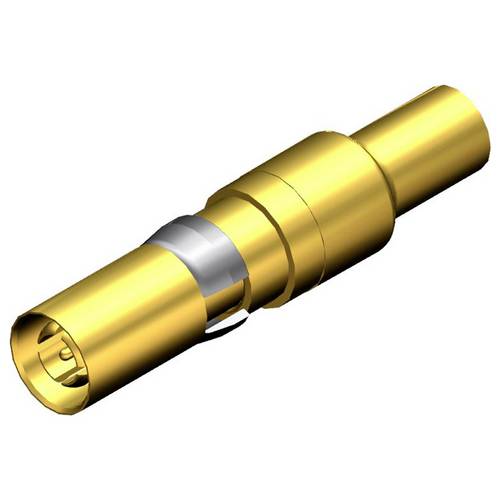 Molex 173112-0619 Buchsenkontakt 1 St.