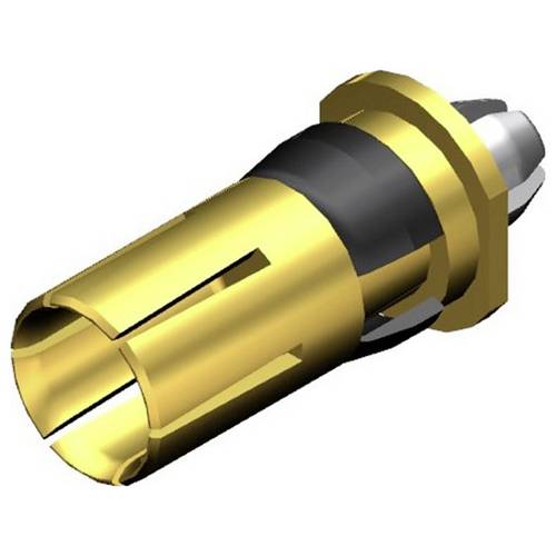 Molex 173112-0461 Buchsenkontakt 1 St. Bag