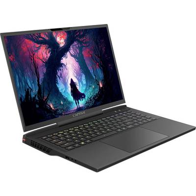 Ein Laptop mit einer beleuchteten Tastatur zeigt auf dem Bildschirm eine lebendige Illustration eines Waldes mit einem riesigen Baum und einer Person darunter.
