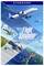 Verpackung des 'Microsoft Flight Simulator 40th Anniversary'. Zeigt verschiedene Flugzeuge über Wolken, Bergen und Landschaften.