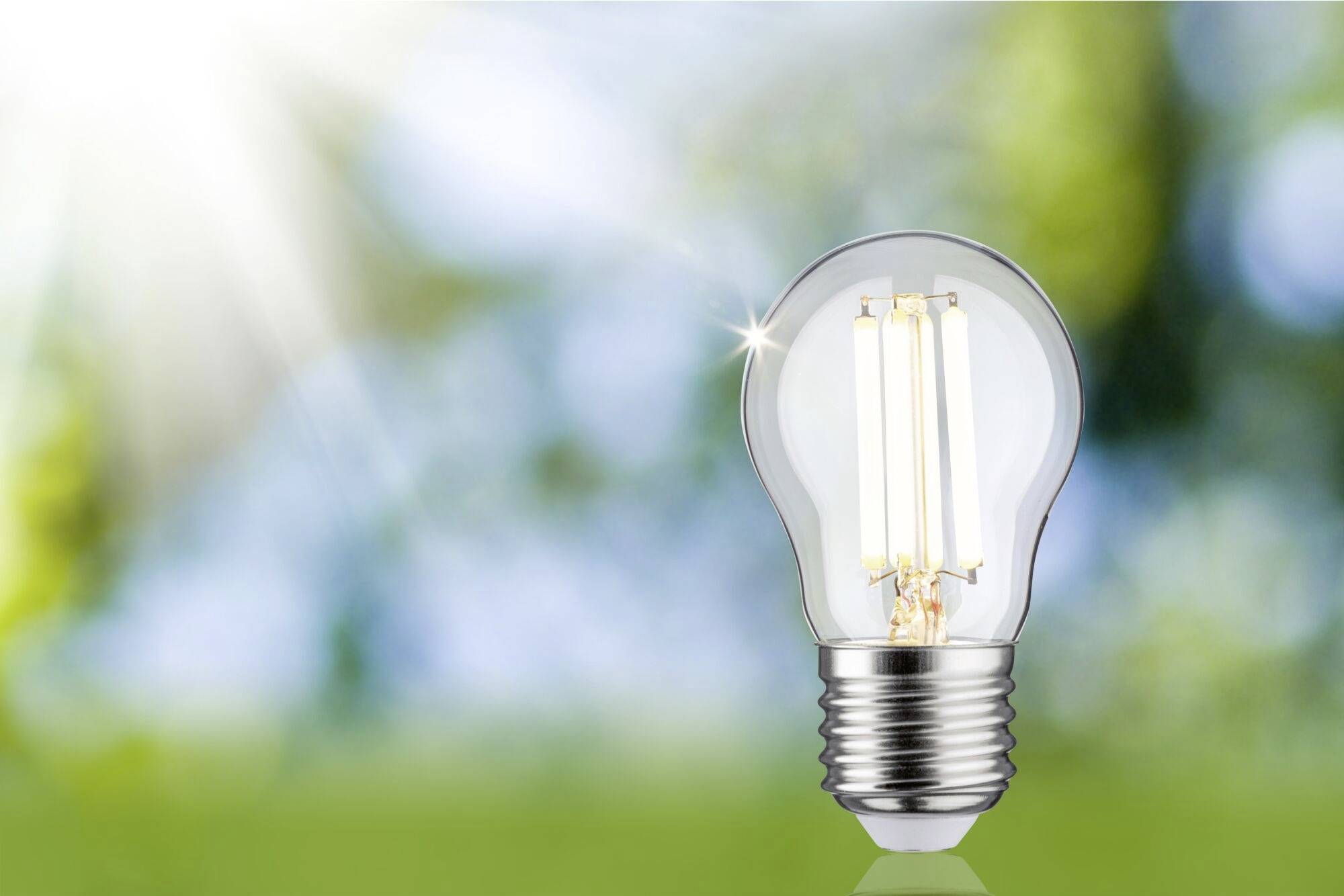 Eine Glühbirne steht auf einem grünen, verschwommenen Hintergrund mit Sonnenlicht, symbolisiert Energie und Umweltbewusstsein.