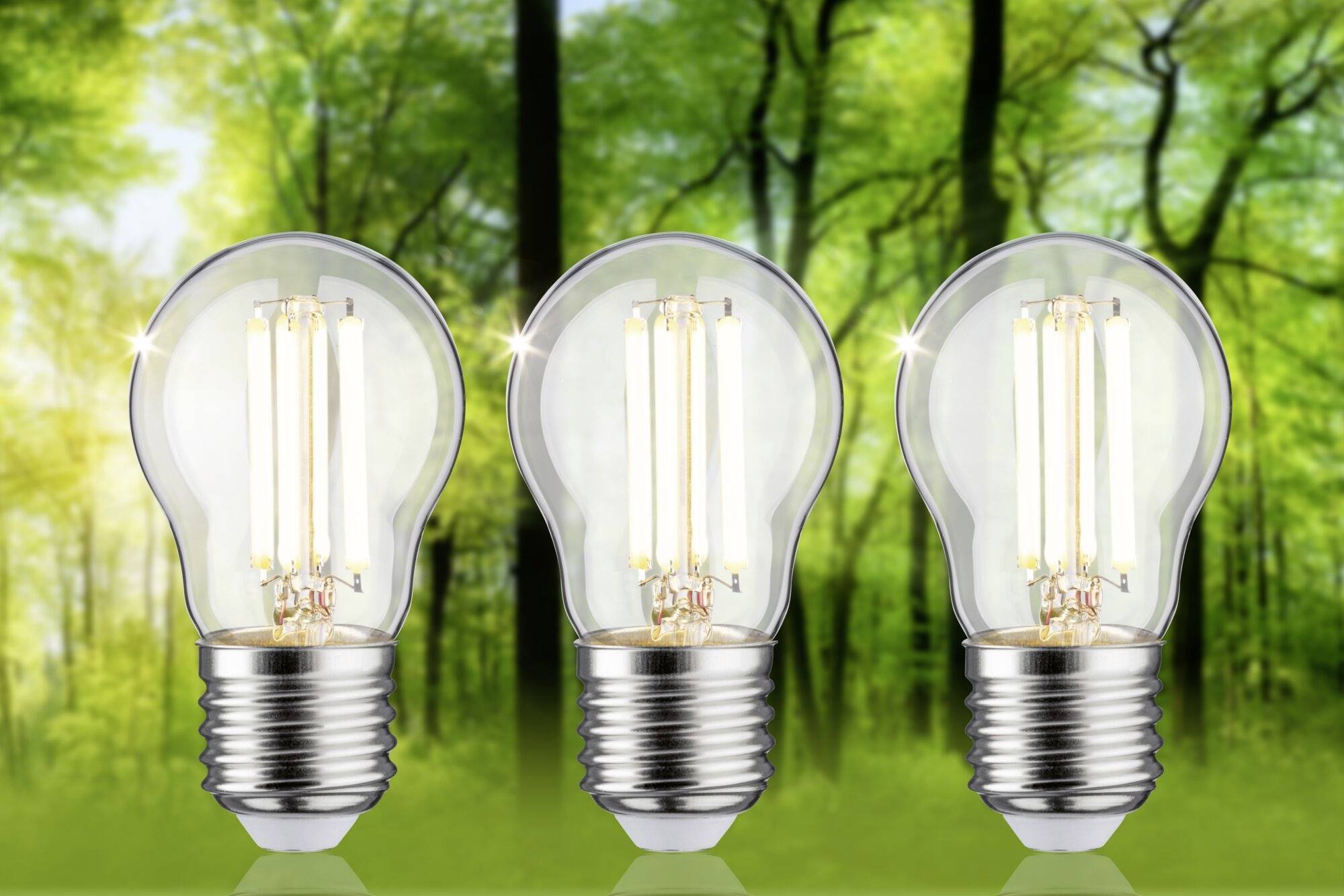 Drei Glühbirnen leuchten vor einem Hintergrund von verschwommenen Bäumen, symbolisieren Energieeffizienz und Nachhaltigkeit.