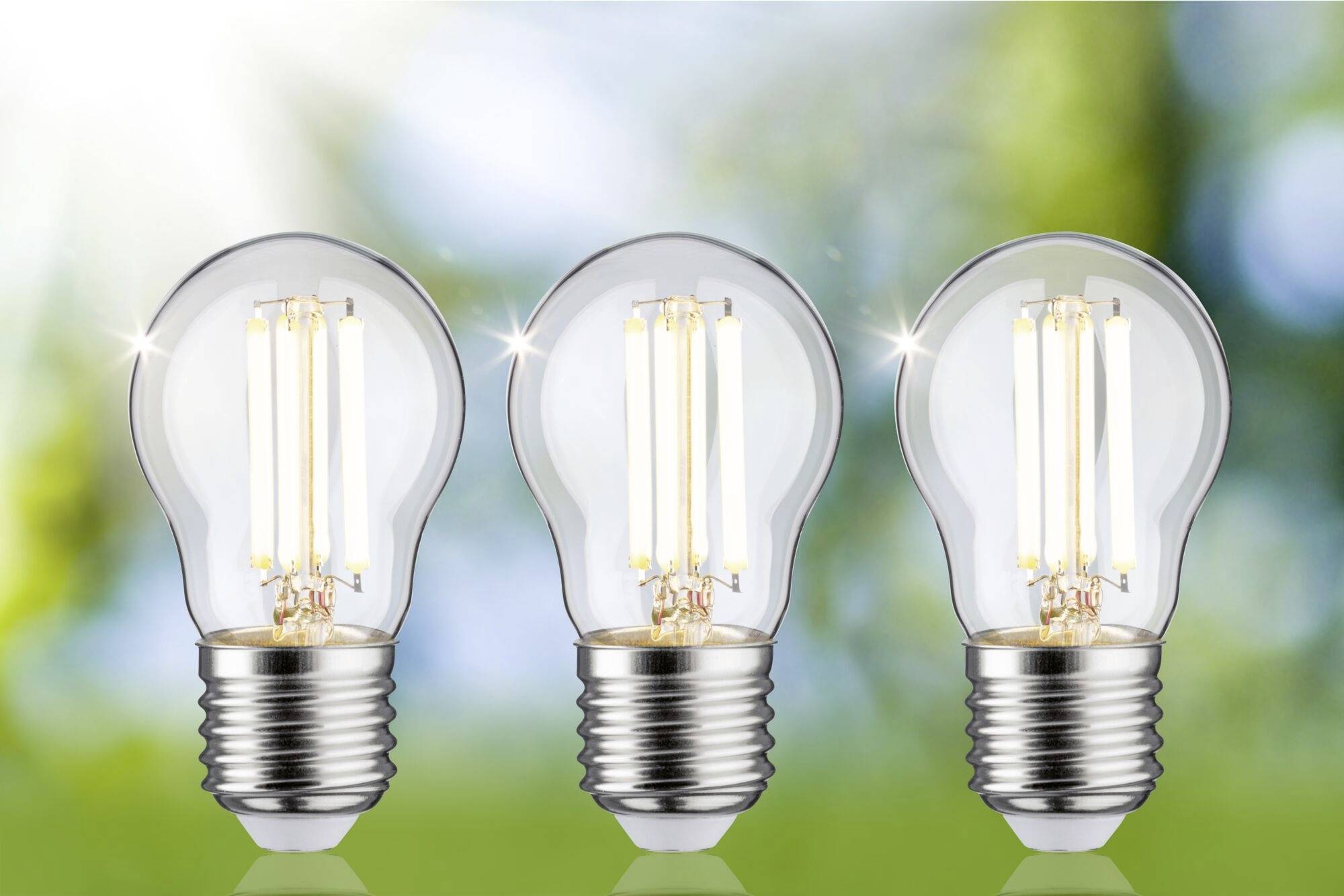 Drei Glühbirnen auf grünem, unscharfem Hintergrund. Sonnenlicht scheint, betont Energie und Erneuerung.