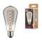 Eine LED-Glühbirne mit spiralförmigem Filament und E27-Sockel neben der Verpackung. Die Birne bietet 170 Lumen bei 18 Watt.