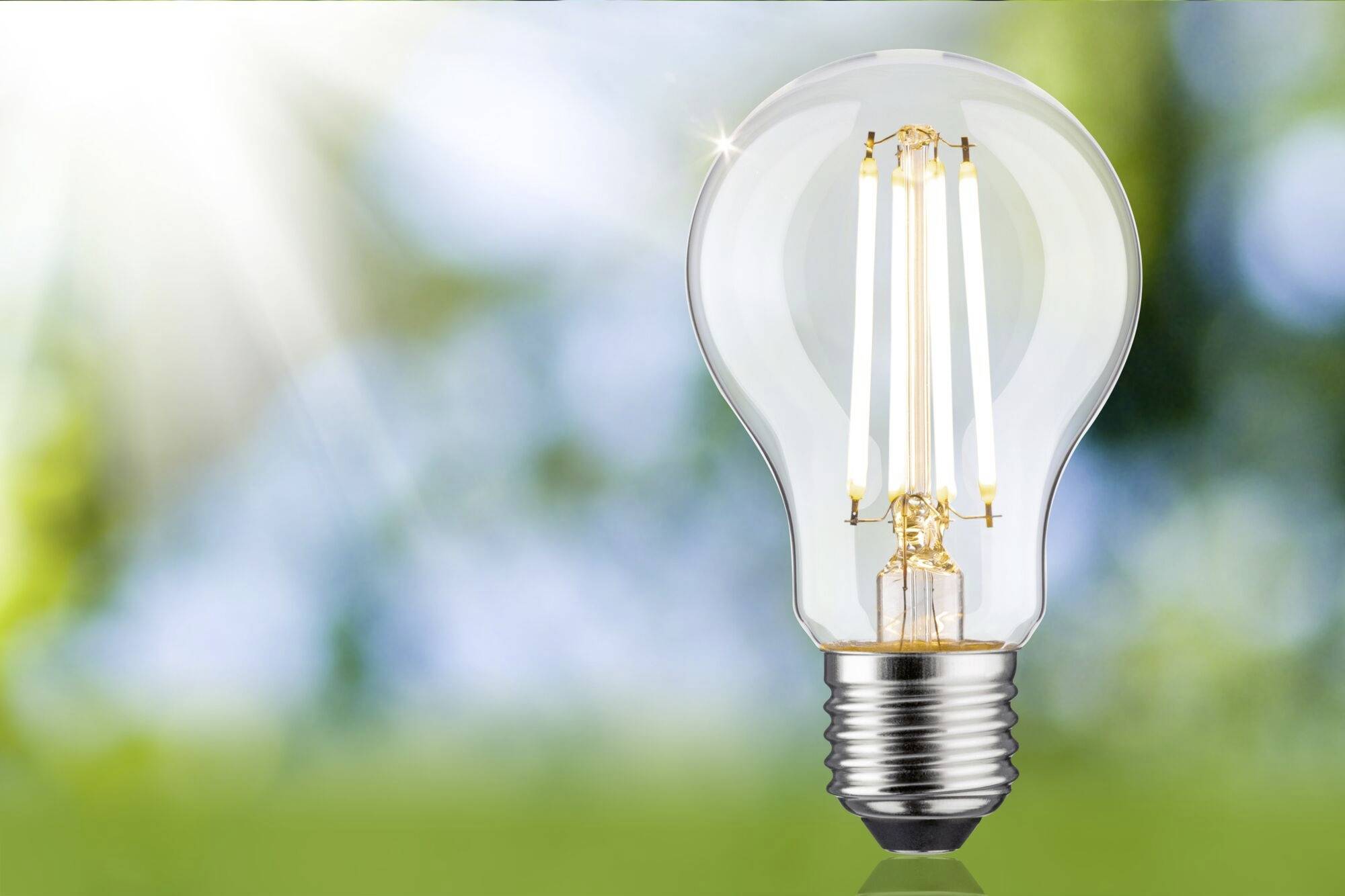Glühbirne vor verschwommenem grünen Hintergrund, die Sonnenstrahlen reflektiert.