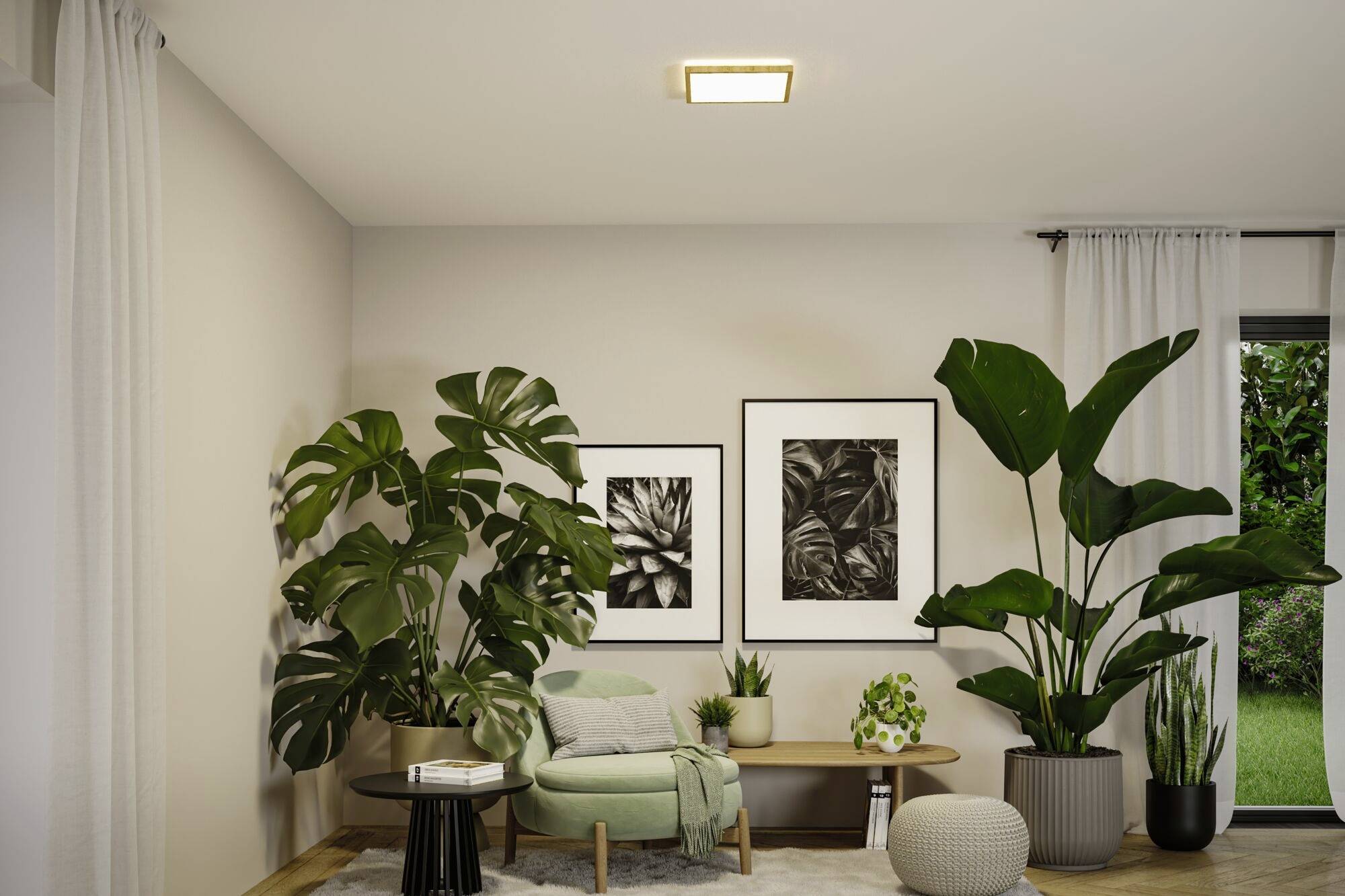 Ein Wohnzimmer mit zwei großen Zimmerpflanzen, einem grünen Sessel, zwei schwarz-weißen Pflanzenfotografien an der Wand und einem kleinen Tisch.