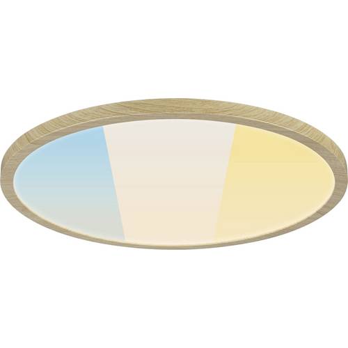 Paulmann Atria Shine 71260 LED-Panel 20.8 W Warmweiß Holz (hell)