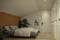 Ein modernes Schlafzimmer mit einem Bett, weißen Wänden, Pflanzen und einem Bild an der Wand. Kleidungsschränke befinden sich rechts.