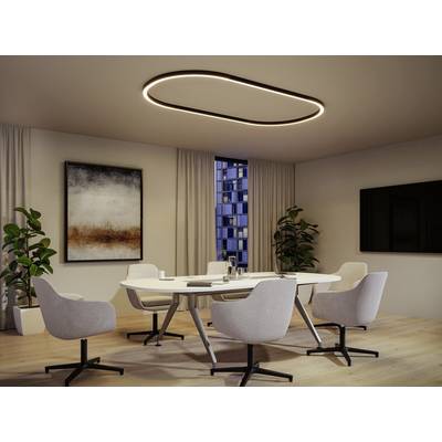 Paulmann 98172 Linion LED-Deckenleuchte LED 6.5 W Schwarz-11