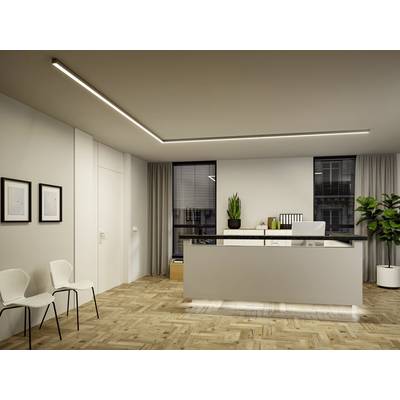 Paulmann 98176 Linion LED-Deckenleuchte LED 3.5 W Chrom (matt)-9
