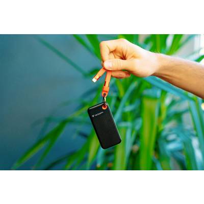 Eine Hand hält eine tragbare SSD-Festplatte mit USB-Kabel, im Hintergrund befinden sich unscharfe grüne Pflanzen.