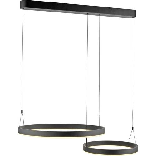 Paul Neuhaus ESKO 2360-18 LED-Pendelleuchte LED LED fest eingebaut 41 W Schwarz