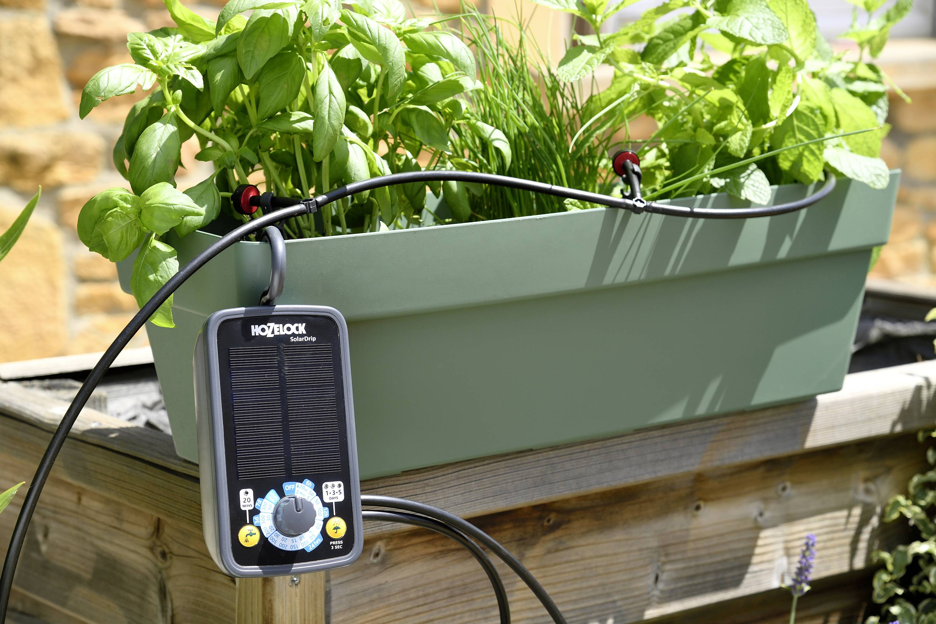 Ein Pflanzkasten mit grünen Kräutern steht im Sonnenlicht. Ein solarbetriebenes Bewässerungssystem ist angeschlossen und sichtbar.
