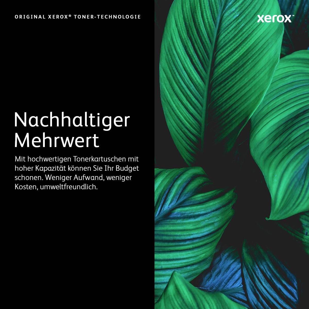 'Oberer Teil eines Pflanzenblattmotivs, daneben Text: Nachhaltiger Mehrwert mit Xerox Tonertechnologie. Umweltfreundlich und kostensparend.'