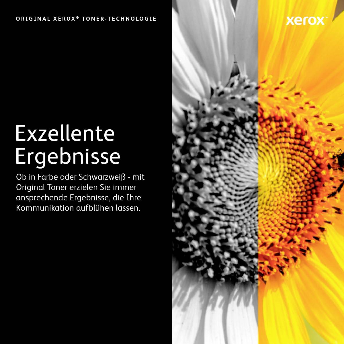 Links: Blumenbild, links schwarzweiß, rechts farbig. Text: 'Exzellente Ergebnisse'. Kontext: Werbung für Xerox Toner Technologie.