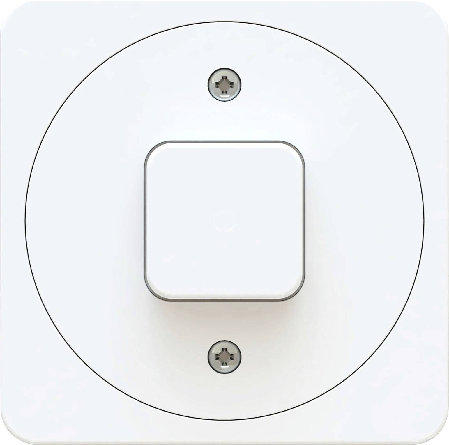 Ein quadratischer, weißer Lichtschalter in der Mitte einer runden Platte mit zwei Schrauben, die die Platte befestigen.