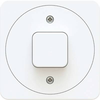 Ein quadratischer, weißer Lichtschalter in der Mitte einer runden Platte mit zwei Schrauben, die die Platte befestigen.