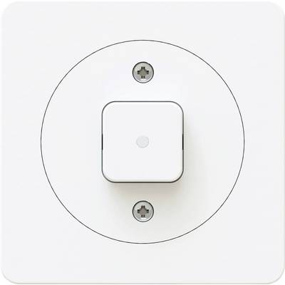 Ein einfacher, quadratischer Lichtschalter auf einer weißen Platte mit zwei sichtbaren Schrauben. Er befindet sich in der Mitte der Platte.
