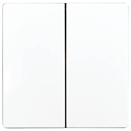 DW-F4T55E/10-wg Eltako Doppel-Schalterwippe