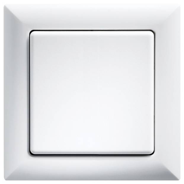 WT55-rw Eltako Wipptaster Unterputz, Schraubbefestigung