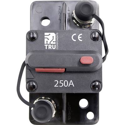 Ein schwarzer elektrischer Leistungsschalter mit der Aufschrift '250A'. Zwei Anschlüsse oben und unten. Markenlogo und CE-Zertifizierung oben links.