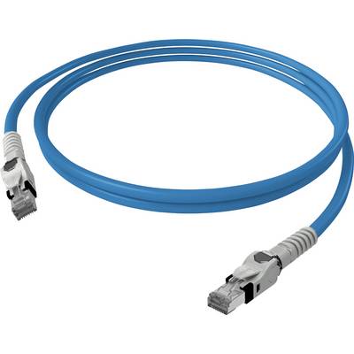 Ein blaues Netzwerkkabel mit zwei RJ45-Steckern.