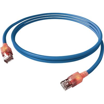 Ein blaues Ethernet-Kabel mit roten Steckverbindern an beiden Enden, das eine Netzwerkverbindung symbolisiert.