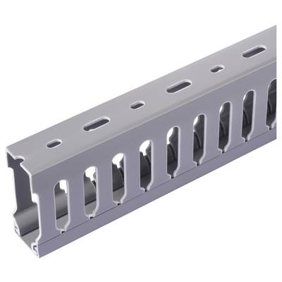 Sygonix SY-6801166 Verdrahtungskanal (L x B x H) 2000 x 25 x 60 mm 5 St. Grau-3