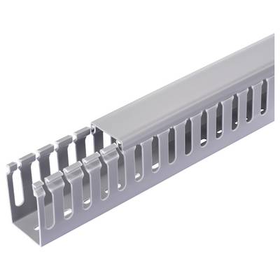 Sygonix SY-6801170 Verdrahtungskanal (L x B x H) 2000 x 60 x 80 mm 5 St. Grau-1