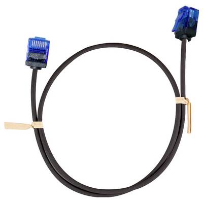 Schwarzes Ethernet-Kabel mit blauen RJ45-Steckern an beiden Enden, aufgerollt auf weißem Hintergrund.